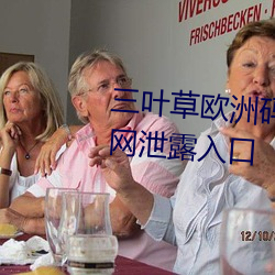 三叶草欧洲码和亚洲码最新版官网泄露入口
