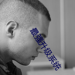 最强升级系(系)统