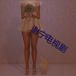 谢宁电视剧