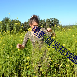 电影首发在线影院