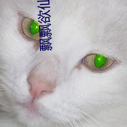 凯时|AG(AsiaGaming)优质运营商