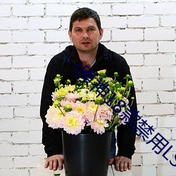 !原神(神)18款禁(禁)用LSP网站下载