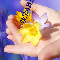禁忌(忌)4美(美)国禁(禁)忌(忌)4