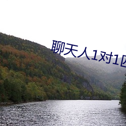 聊天人1對1匹配網站