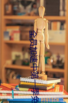 全员加速中第(dì)一(yī)季免费观看(kàn)