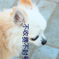 不收费不封号的直播软件