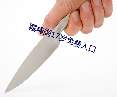 藏精阁17岁免费入口