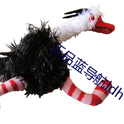 正(正)品蓝导(導)航(航)ldh