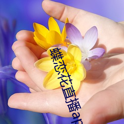 蝶恋花直播app最(zuì)新版下载