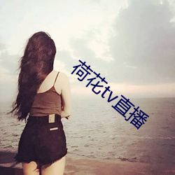 荷(荷)花(花)tv直播