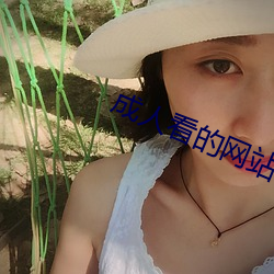成人看的网站