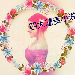 四大谴责小说 （慧心）