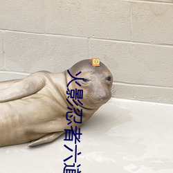 火影忍者六道轮回破解版