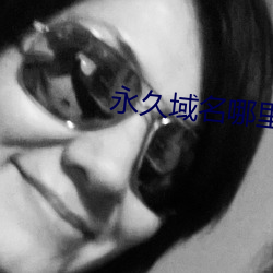 永久域名哪裏有
