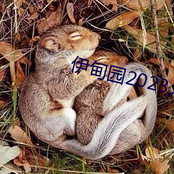 伊甸園2023入口直達