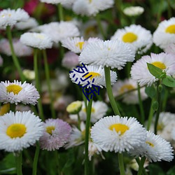 烈途 （砥节砺行）