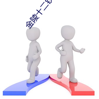 金(jīn)陵十二钗细支28元