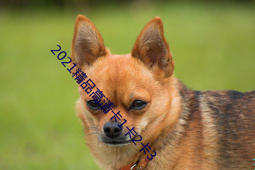 2021精品高清卡1卡2卡3