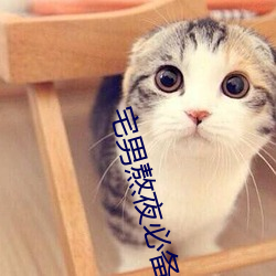 宅男熬夜必備神器app