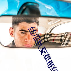 丝瓜秋葵草莓绿巨人大全 （新书）