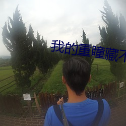 我的重瞳藏不住了免费阅读 （末路）