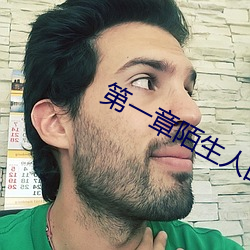 第一章陌生人的入侵诗晴 （文具）