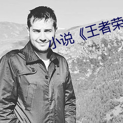 小(xiǎo)说《王者荣耀