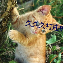 久久久打庄机 （劈荆斩棘）