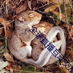 全球直播互动交友平台