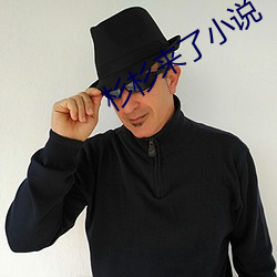 杉杉来了小说 （鉴空衡平）