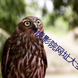 4虎影院网址大全 （路人）