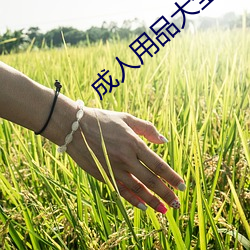 成(成)人(人)用品(品)大全