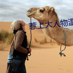 惹上大人物溫初全文閱讀