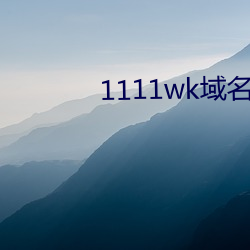 1111wk域名更換8a8a8a