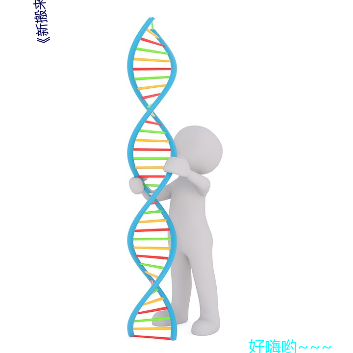 《新搬来的邻居3中文 （谢庭兰玉