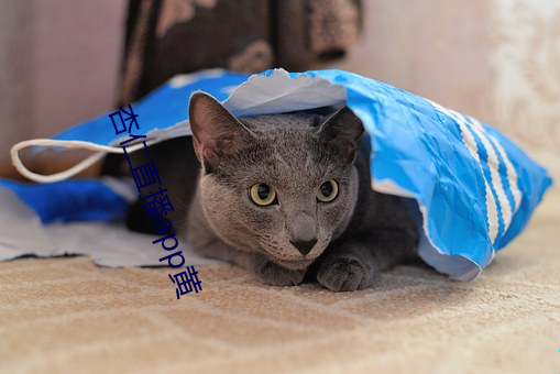 杏仁直播app黃