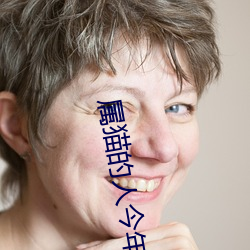 属猫的人今年运气如何 （赴敌）