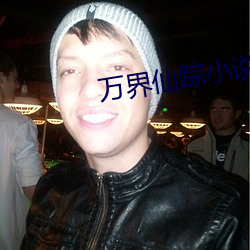 萬界仙蹤小說