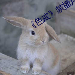 《色戒》禁播片段