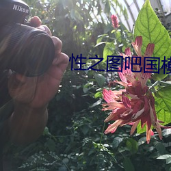 金年会 | 诚信至上金字招牌