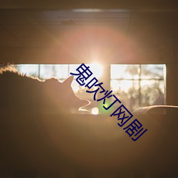 鬼吹灯网剧