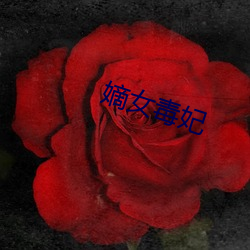 嫡女毒妃 （一字不苟）