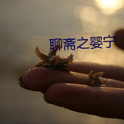 聊(liáo)斋之(zhī)婴(yīng)宁(níng)