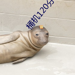 桶机120分钟桶机免费看下载 （国门）