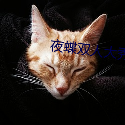 夜蝶双人大秀 （的确良）