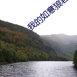 我的如意狼君