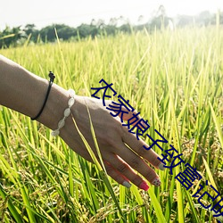 农(農)家娘子致富记明(明)九(九)娘