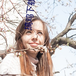 搞鸡下载不用钱