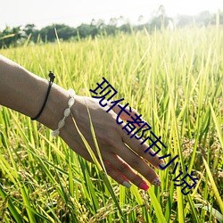 尊龙凯时-人生就是搏!
