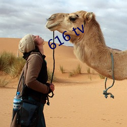 616 tv